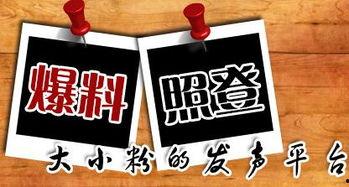 佛山本地新闻爆料,详情正在调查中...