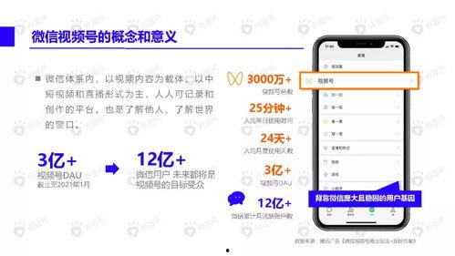 狗熊皮肤爆料视频下载安装,揭秘游戏新内容与玩法