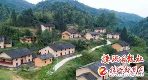 茶陵爆料最新新闻消息,最新民生焦点事件追踪