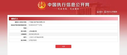 富力爆料最新消息,揭秘球队动态与未来规划