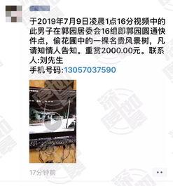 免费网友爆料视频在线观看,独家内容在线观看汇总