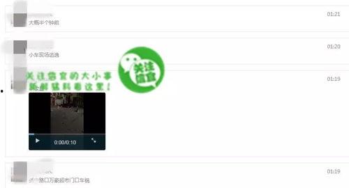 免费网友爆料视频在线观看,独家内容在线观看汇总
