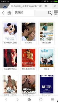 gay在线观看网址,揭秘热门Gay在线观看平台