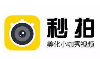 媒体爆料普尔言论视频播放,媒体爆料背后的真相与争议