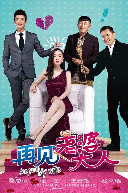 再见老婆大人在线观看,家庭情感大戏温馨上演