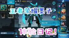 王者爆料 大盗视频,王者爆料背后的神秘力量