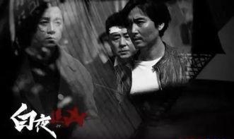 白夜追凶6在线观看,暗夜追凶，真相大白