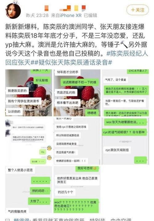陈奕辰最新爆料视频大全,揭秘娱乐圈不为人知的一面