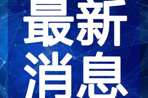 东莞口罩厂爆料视频最新,揭秘口罩生产全过程