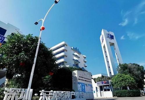 深圳产业园爆料事件视频,揭露背后的真相与争议