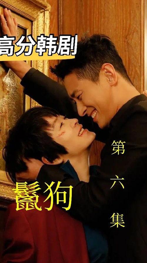 鬣狗在线观看韩剧,韩剧中的残酷职场对决