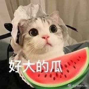 吃瓜女主网红小说,网红女主的甜蜜复仇之旅