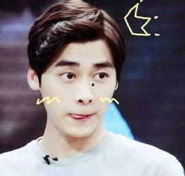 吃瓜李易峰网站免费入口,免费入口带你畅游明星八卦世界