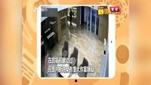 守望都市新闻爆料电话,揭秘新闻爆料热线背后的故事