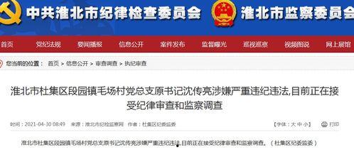 新闻报料爆料流程视频教程,视频教程全面解析