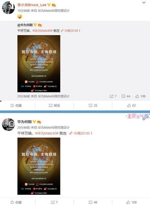 揭秘爆料类视频大全,视频大全背后的真相大揭秘