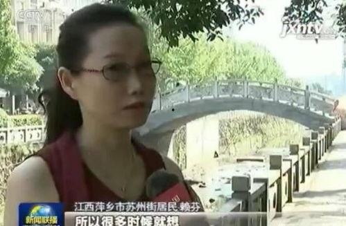 番禺都市爆料新闻事件是真的吗,新闻事件真实性调查