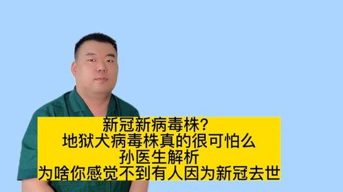 医生爆料病毒视频大全最新,病毒视频大全最新动态解析
