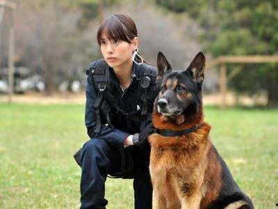 警犬巴达粤语在线观看,忠诚守护，智慧追踪