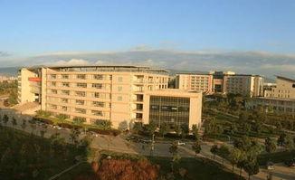 曲靖师范大学爆料视频,揭秘校园内幕事件