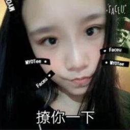 老三女友爆料视频大全集,揭秘背后惊人真相