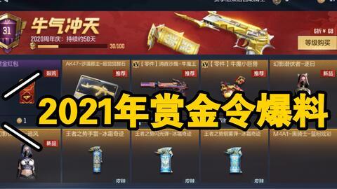 赏金令最新爆料价格,神秘价格引发热议，揭秘幕后真相