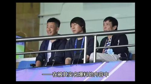 足协刘洁爆料视频播放,视频播放背后的真相曝光