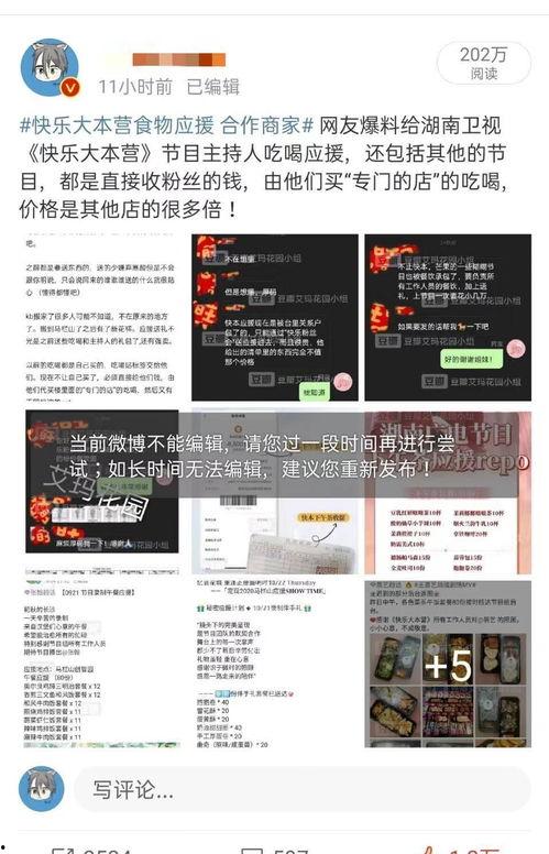 娱乐爆料人声音处理,独家幕后故事大公开