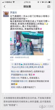 新城物业爆料事件视频最新,真相揭露与公众关注