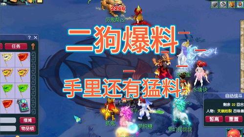 二狗梦幻爆料视频大全,揭秘视频大全背后的精彩故事