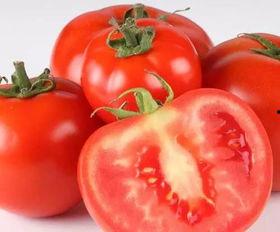 番茄猛料爆料方法视频大全,视频大全教你轻松爆料技巧