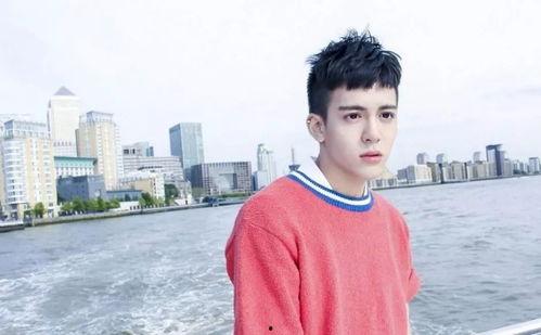 圈内大爆料刘宪华女友,揭秘神秘女友身份之谜