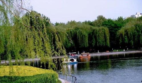 石家庄公园爆料最新消息,揭秘神秘事件背后的真相