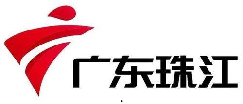 广东珠江电视台爆料新闻,揭秘广东地区最新热点事件