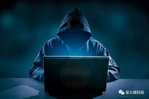 非洲黑客组织爆料视频,揭秘网络黑幕与幕后真相