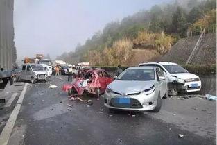 佛山高速爆料事件最新,揭秘背后真相与争议焦点