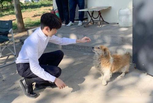 王源娱乐圈最新爆料事件,最新爆料事件引发热议