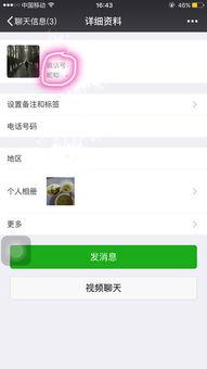 在哪找免费吃瓜群微信号,免费吃瓜群微信号，轻松加入畅享娱乐盛宴！