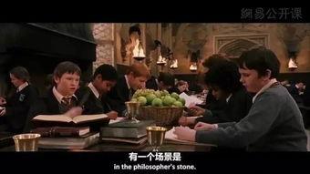 哈利波特作业最新爆料,神秘新章节揭秘，魔法世界再掀波澜