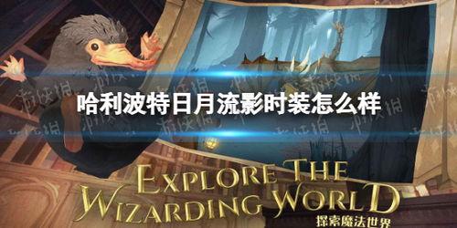 哈利波特作业最新爆料,神秘新章节揭秘，魔法世界再掀波澜