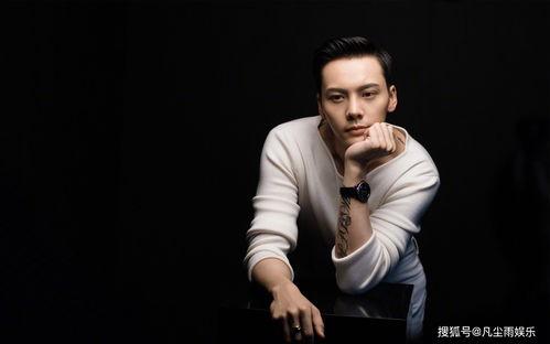 陈伟霆娱乐圈爆料客,揭秘明星幕后故事