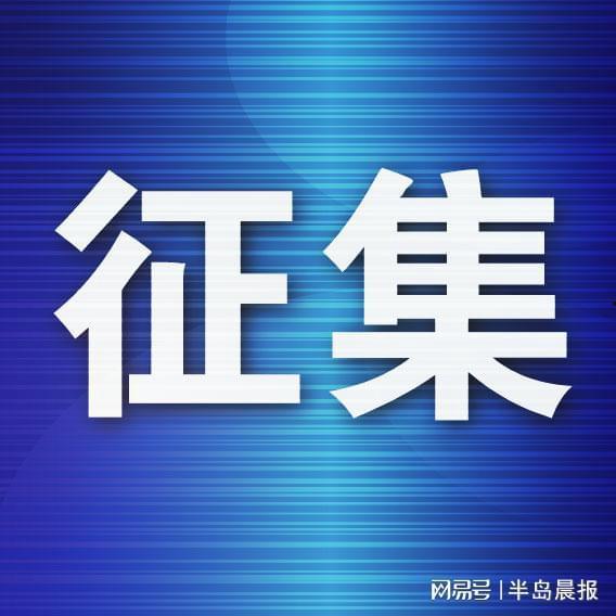 半岛晨报最新爆料,最新爆料引发社会热议