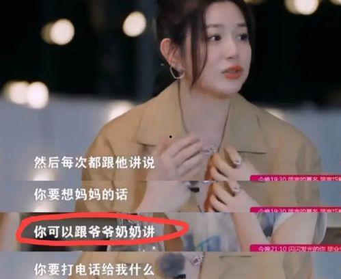 刘大锤爆料杨幂视频合集,杨幂视频合集大揭秘