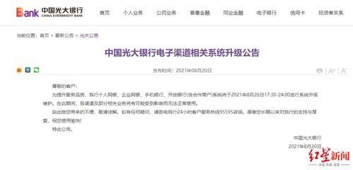 红星新闻如何爆料,揭秘事件背后真相