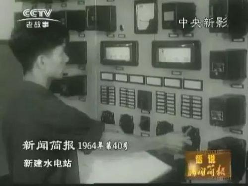 西在线观看电,揭秘网络观影新体验