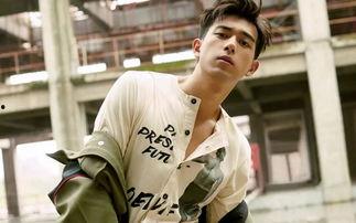 娱乐爆料李现李易峰,双星闪耀，幕后故事大揭秘