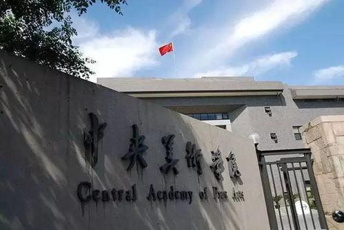中央美院爆料事件视频,视频揭露惊人内幕