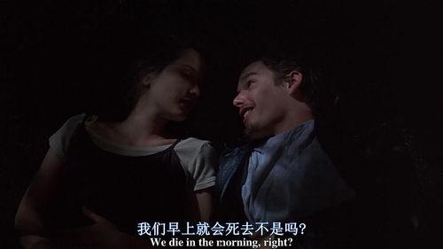 电视剧黎明破晓前在线观看,揭秘剧情高潮与情感纠葛