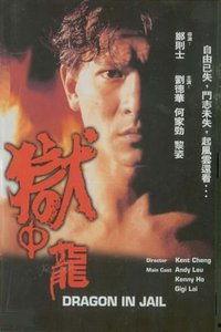 狱中龙在线观看,揭秘高墙内的逆袭传奇