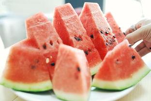 荷兰网红吃瓜视频大全免费观看,免费观看，笑料横生！